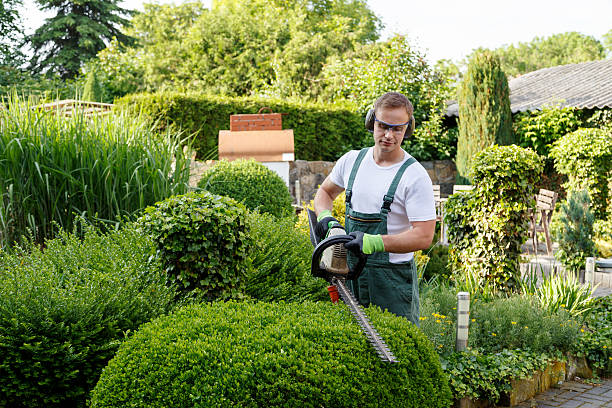 Best Stump Grinding and Removal  in Leetsdale, PA